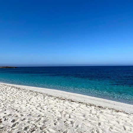 Casa Vacanze Da Roberta A Pochi Km Da Oristano Simaxis Dış mekan fotoğraf